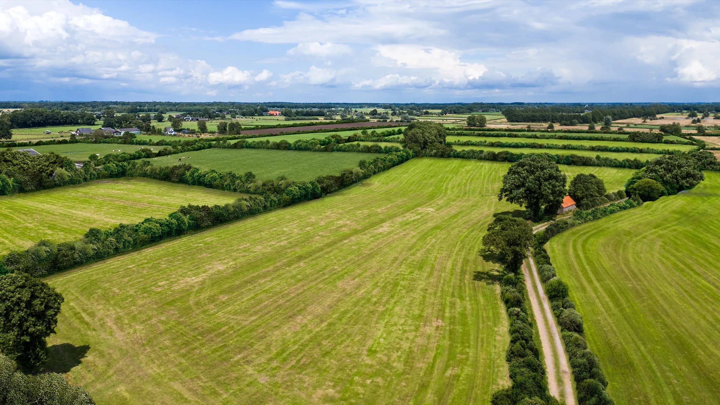Aerial view of biodiverse landscape after nature restoration
