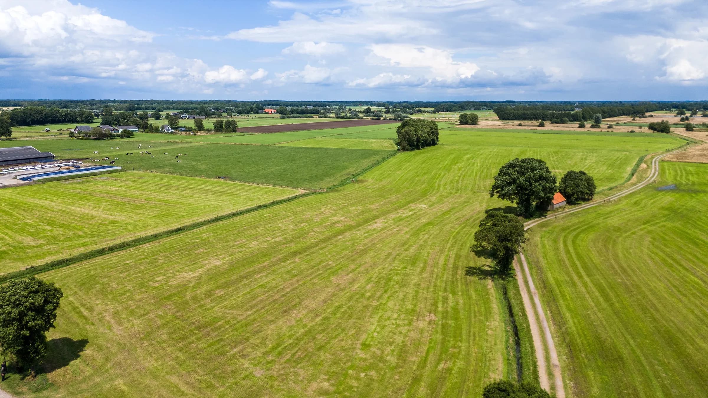 Aerial view of degraded farmland before nature restoration
